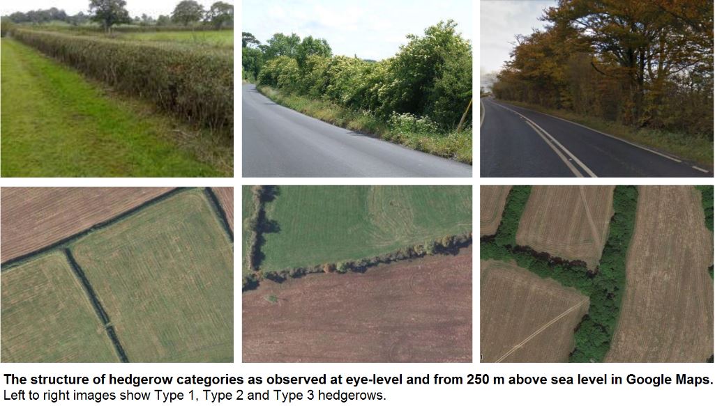 hedgerows-at-the-landscape-scale-ialeuk-international-association